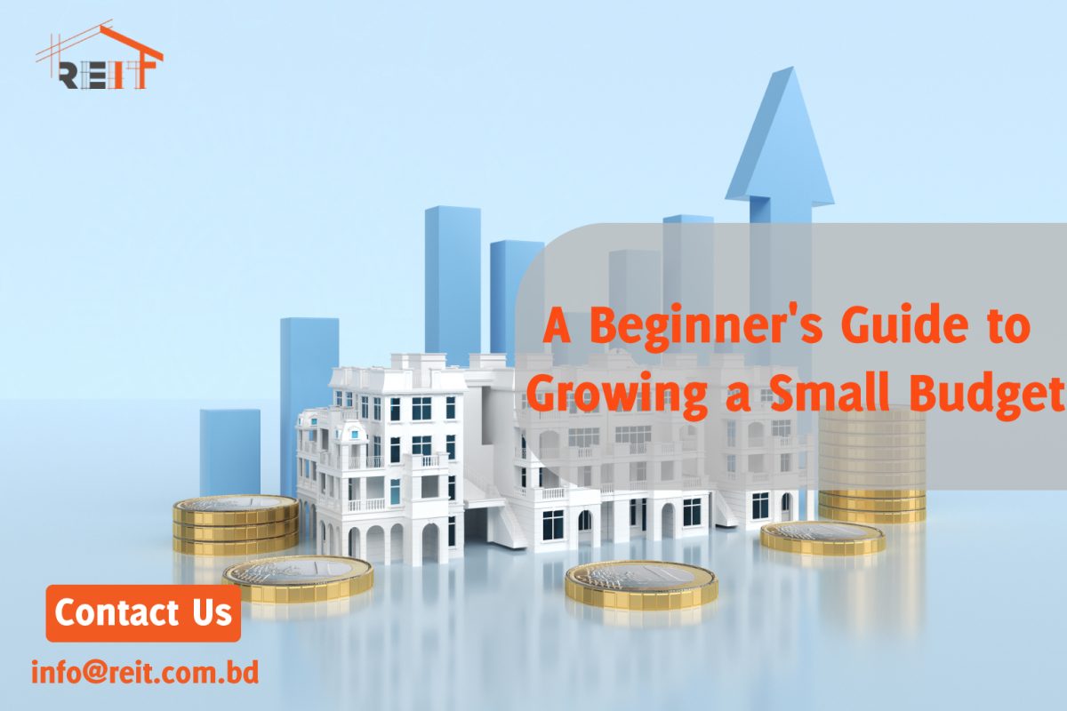 Investing, A Beginner's Guide to Growing a Small Budget
